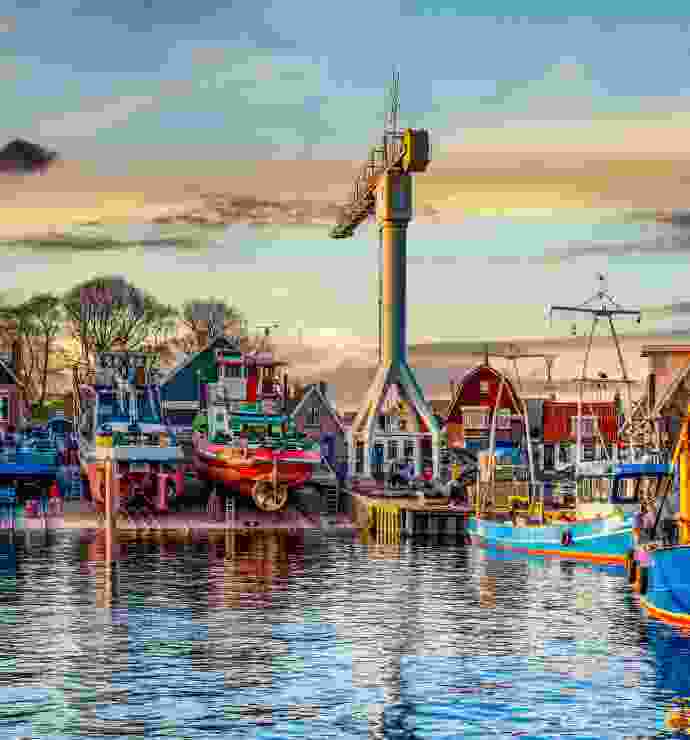 Listing Taxonomy Image Listing Taxonomy Image