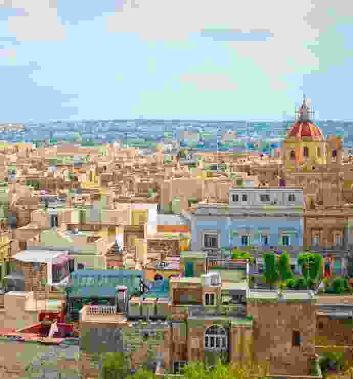 Listing Taxonomy Image Listing Taxonomy Image